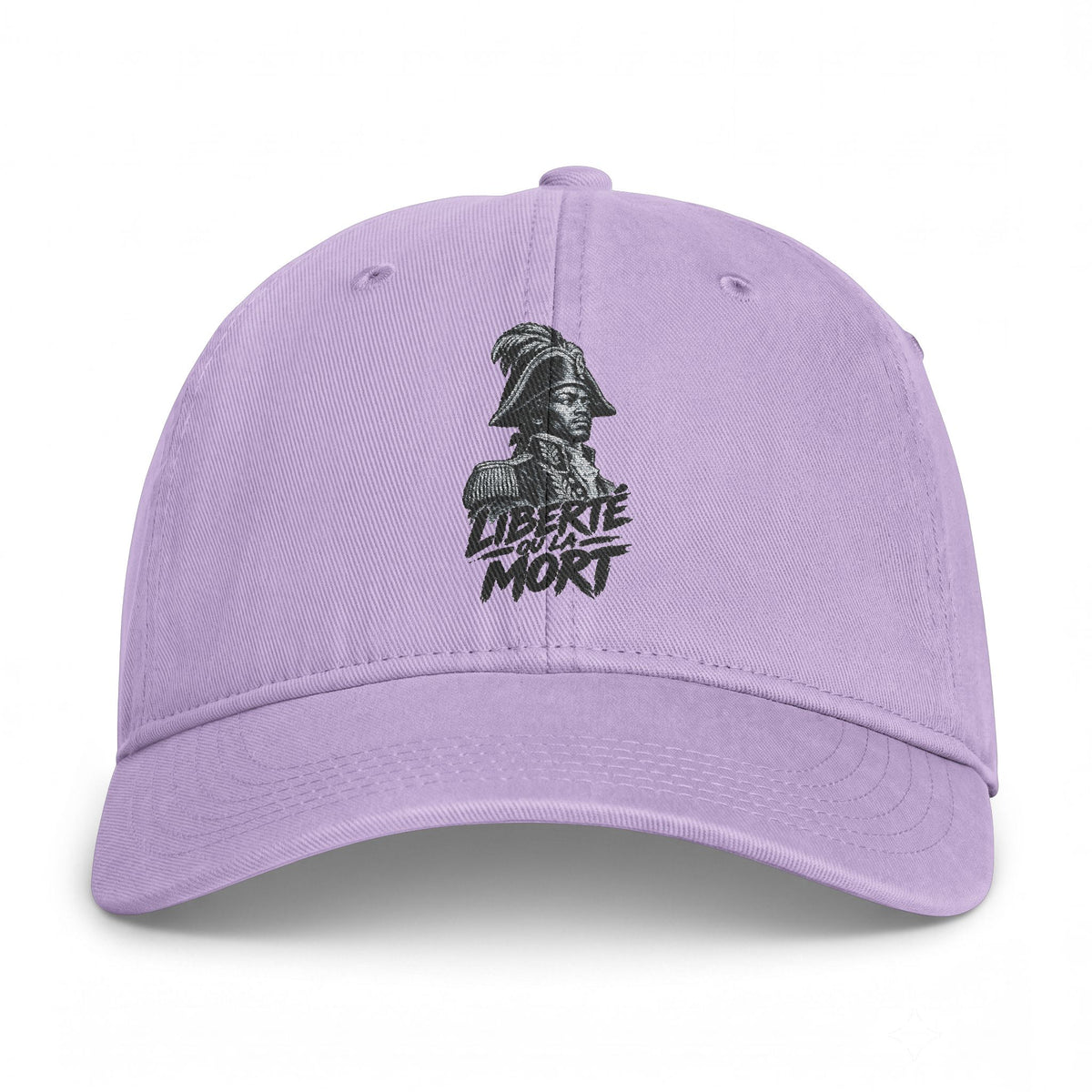 Distressed Skull Embroidered Cap