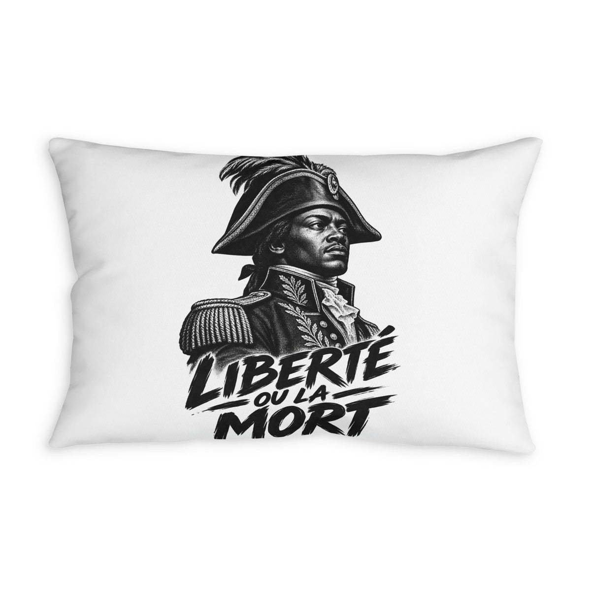 Hispaniola Is Haiti – Haitian Heritage Pillow Cover.