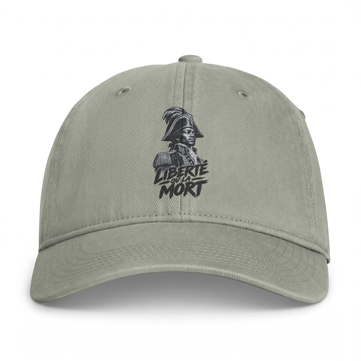 Distressed Skull Embroidered Cap