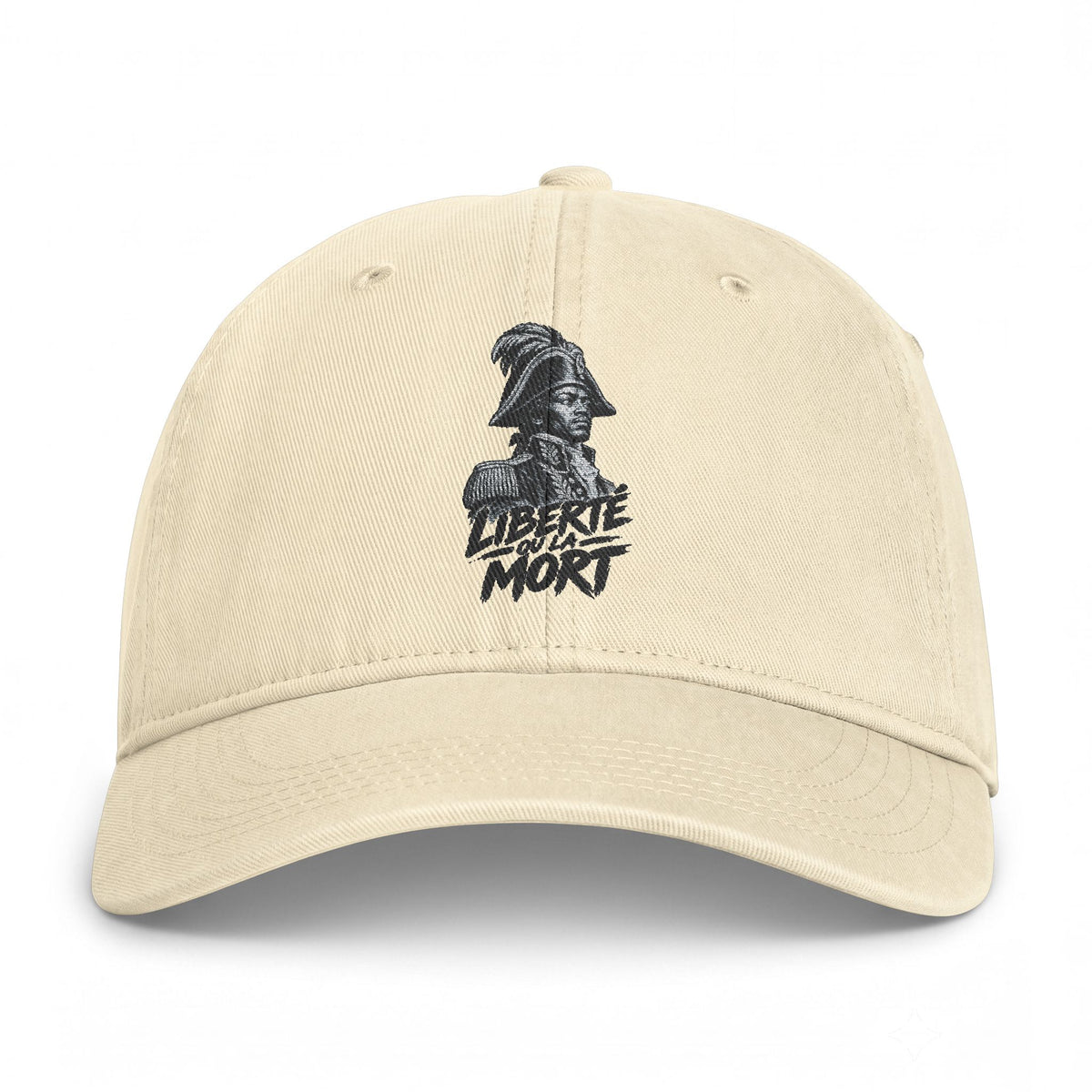 Distressed Skull Embroidered Cap