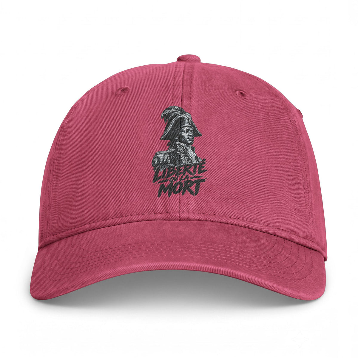 Distressed Skull Embroidered Cap